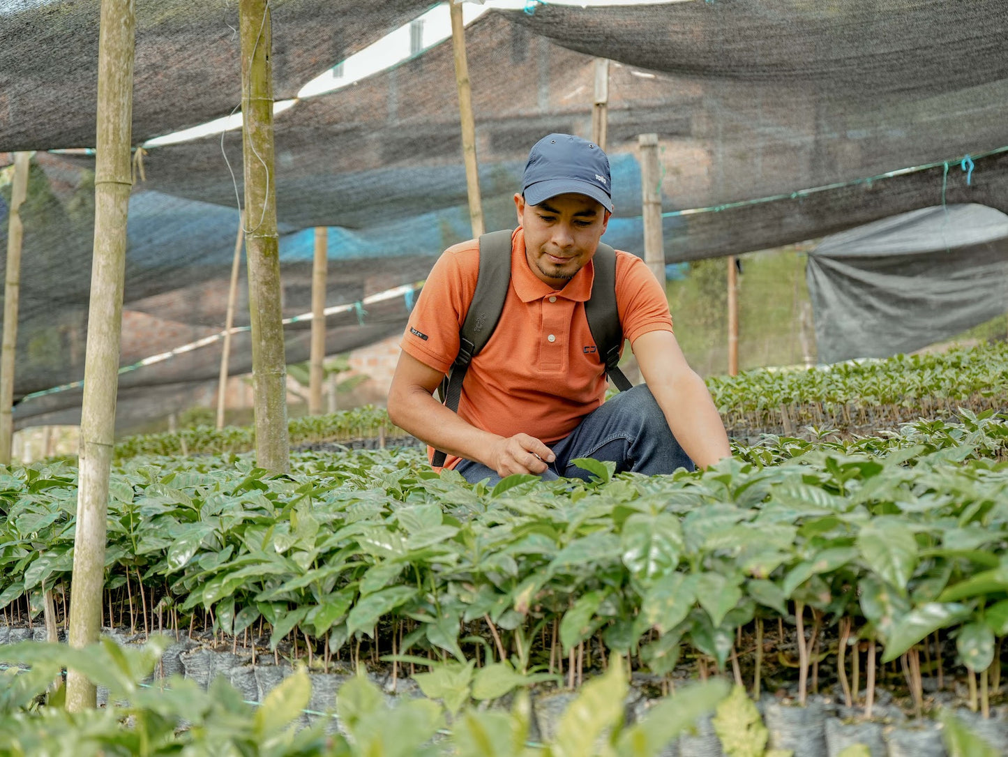 Decaf Colombia El Carmen