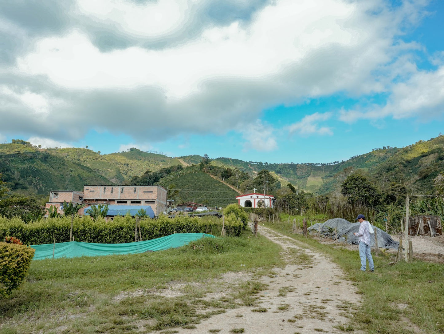 Decaf Colombia El Carmen