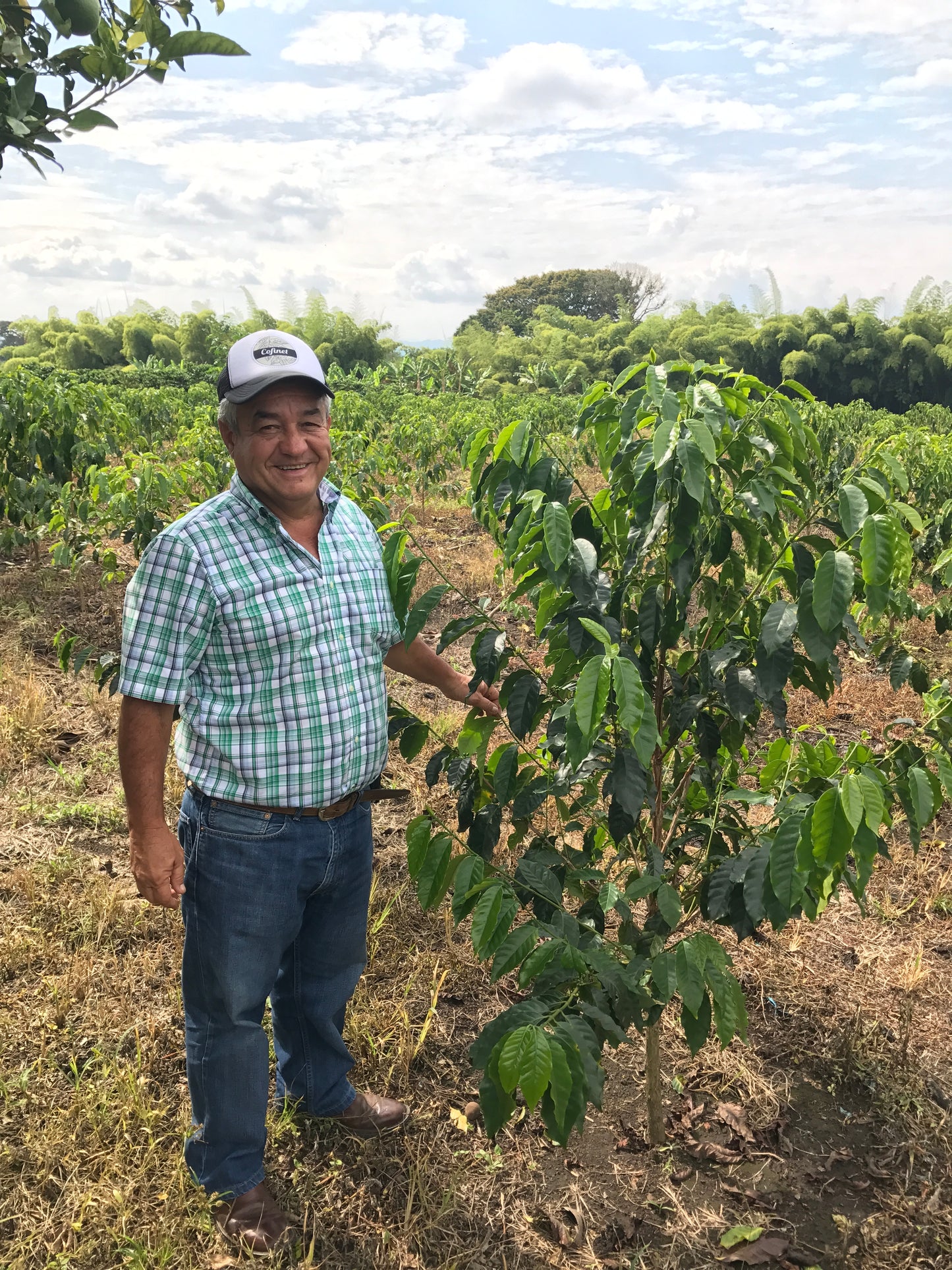 Supreme Coffee: Colombia Jairo Arcila - Papayo