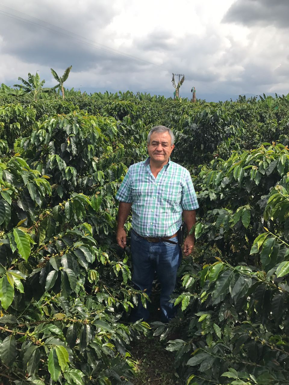 Supreme Coffee: Colombia Jairo Arcila - Papayo