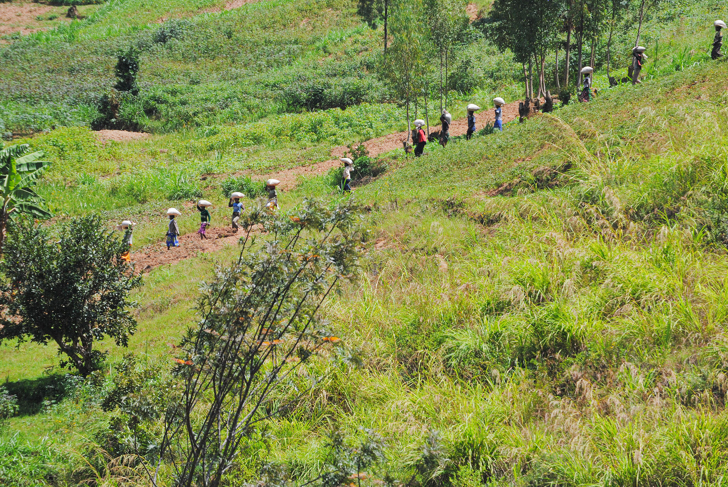 Rwanda Rwamatamu Musozi